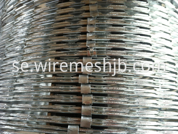 Galvanized Razor Barbed Wire